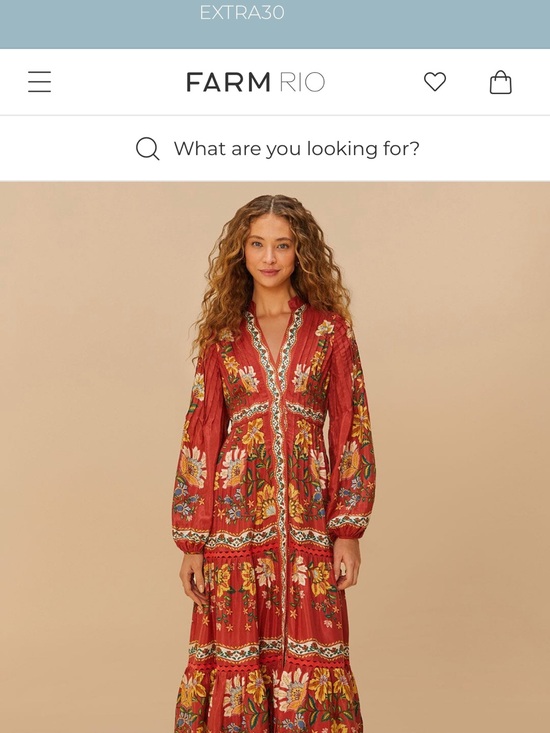 FARM Rio Dresses & Skirts - FARM Rio Rust Red Floral Embroidered Tiered Maxi Dress